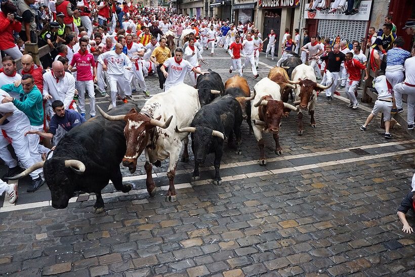 Fotos de la manada de toros y cabestros girando hacia la calle estafeta en el encierro de Sanfermin en Pamplona